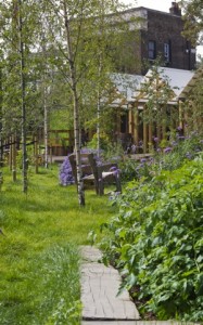 View of garden